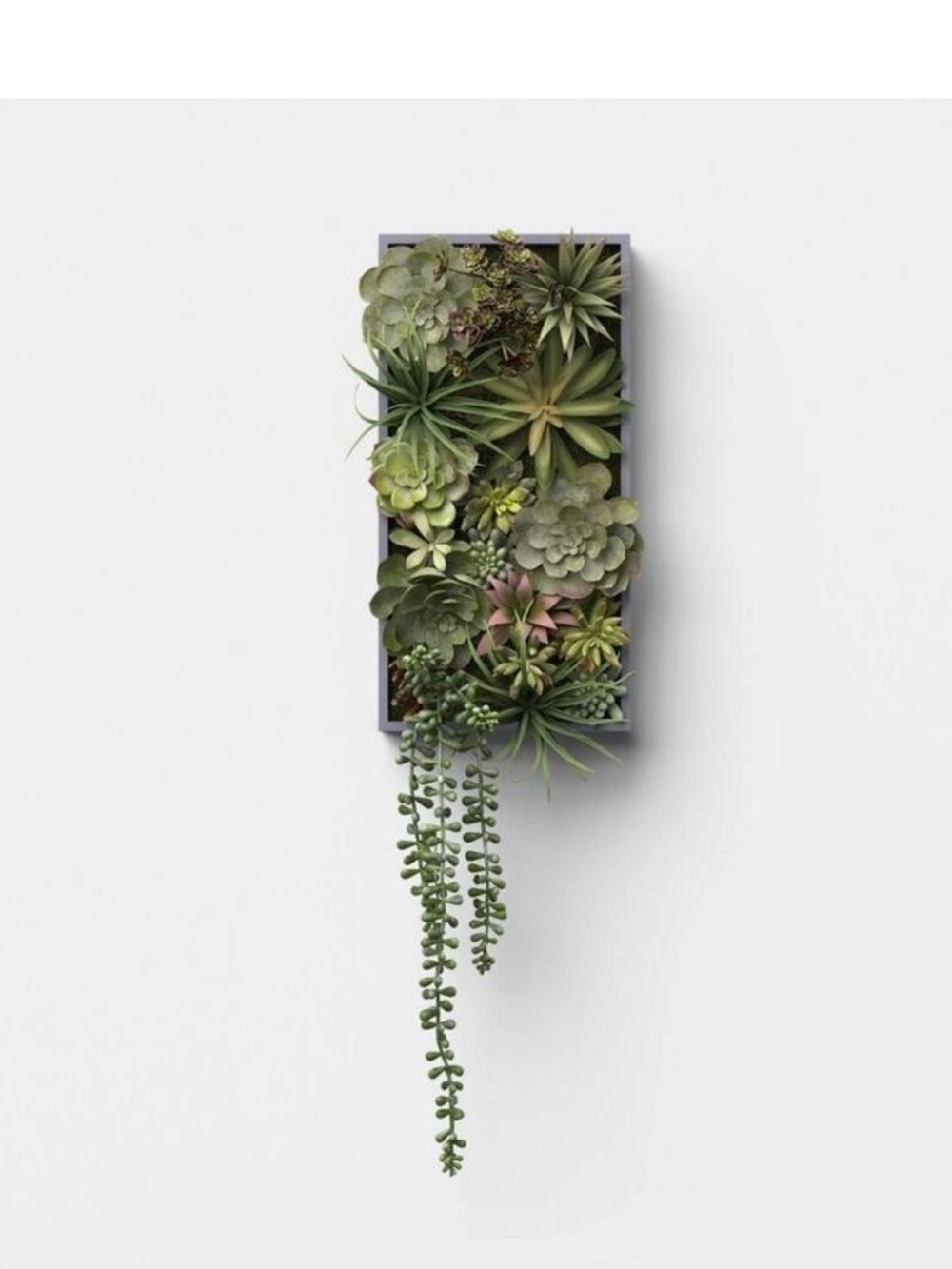 Threshold - 19" Hanging Artificial Succulent Wall Box - Indoor Outdoor BRAND NEW